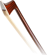 signature-carbon